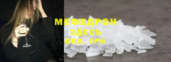 индика Алексин