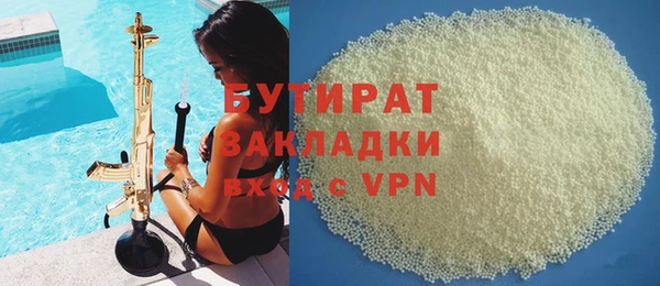 индика Алексин