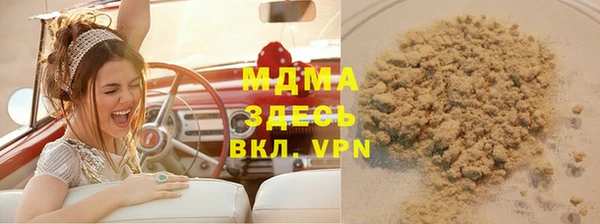 индика Алексин