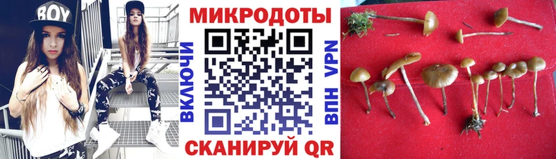 Псилоцибиновые грибы MAGIC MUSHROOMS  Бакал 